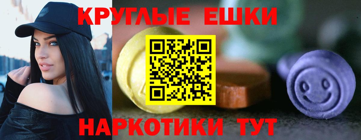 это официальный сайт  Вход с VPN  Луга  Экстази  Экстази бентли  ЭКСТАЗИ Philipp Plein 