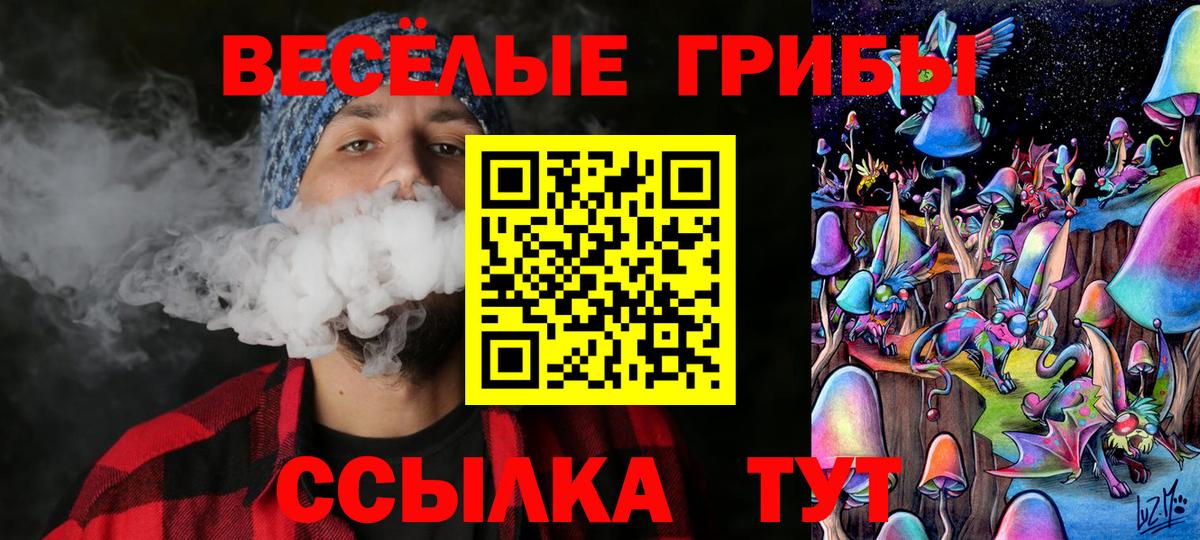 Галлюциногенные грибы Cubensis  Вход с VPN  Луга 